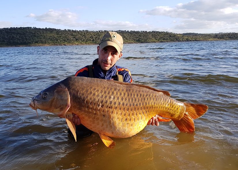 brian gonzalez spanish reservoir common carp