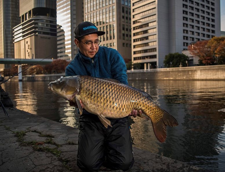 carp fishing in japan