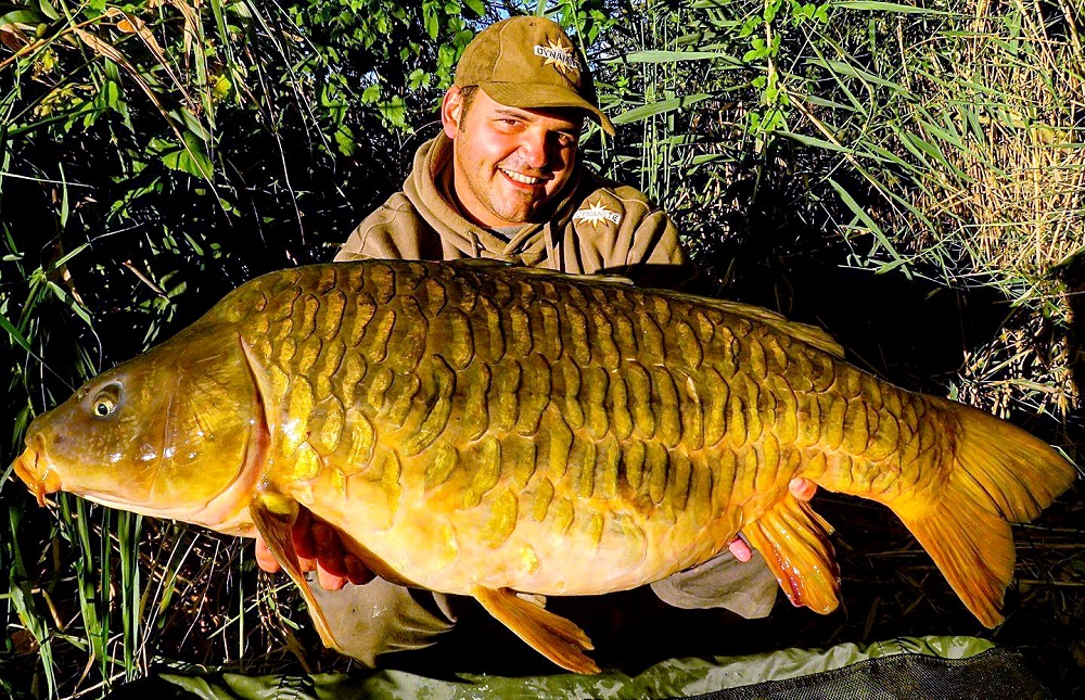 spanish river carp eduardo zancada