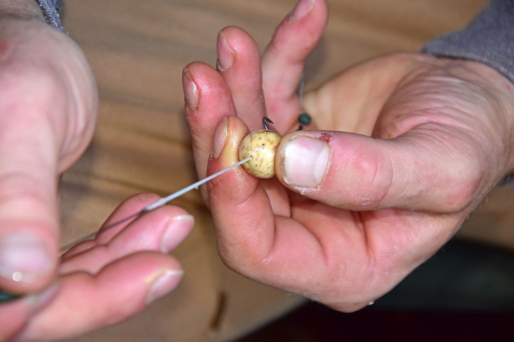 SEQ 1) Start by threading a 15mm Tiger Nut pop-up onto a length of floss