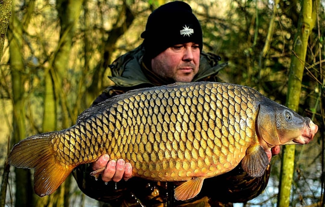 club water carp fishing tips