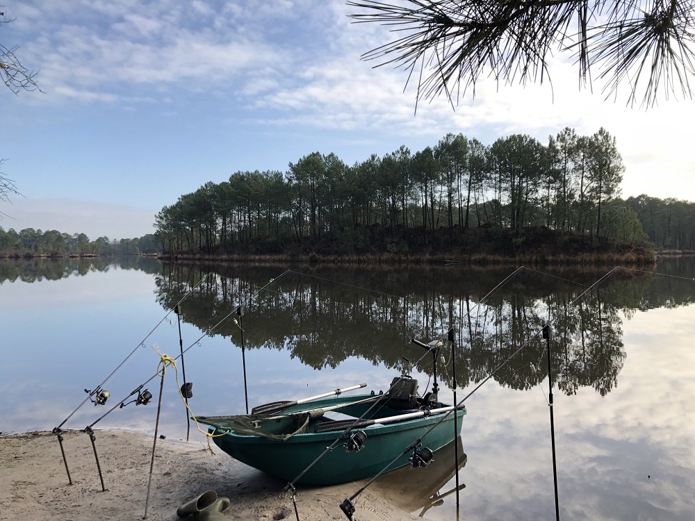 rainbow lake carp fishing