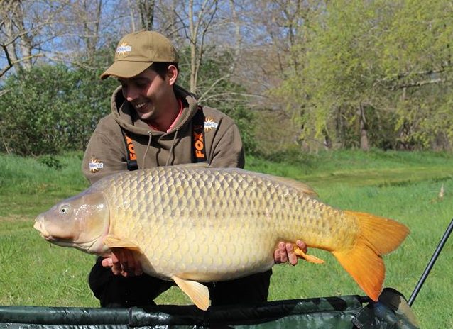 david almundi lac de la latournerie common carp on hit n run pop-ups