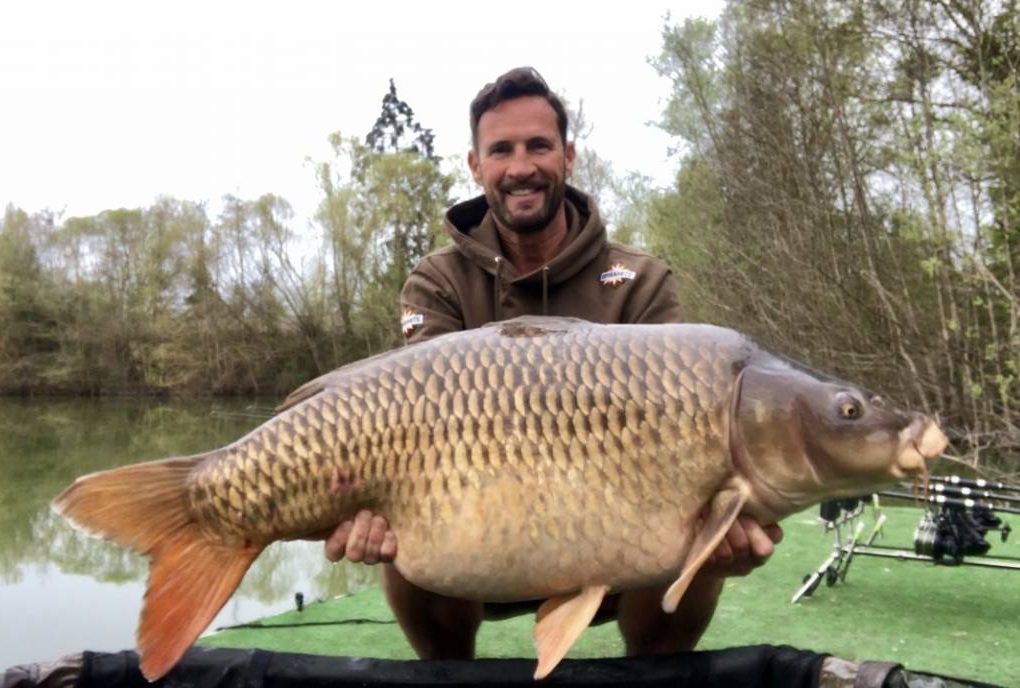 mick bowman cedars lake france 60lb common carp