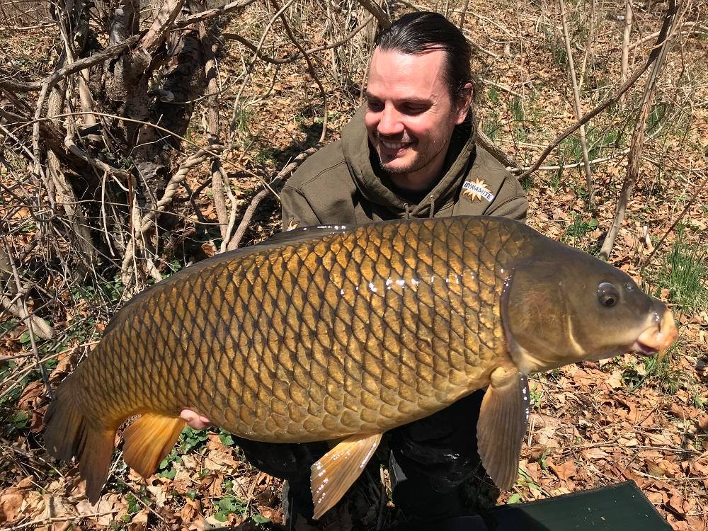 RAPHAEL BIAGINI FRENZIED TIGER NUT FROM NEW YORK PARK LAKE