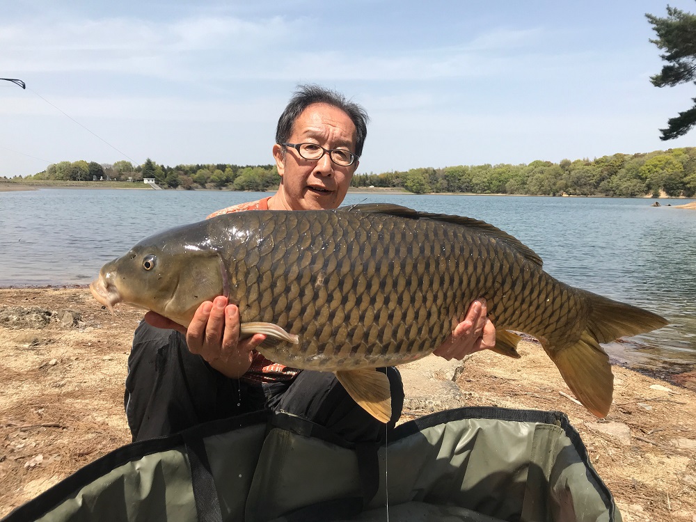 japanese carp fishing on Kinbuchi pond by Shuto Tsuchimoto