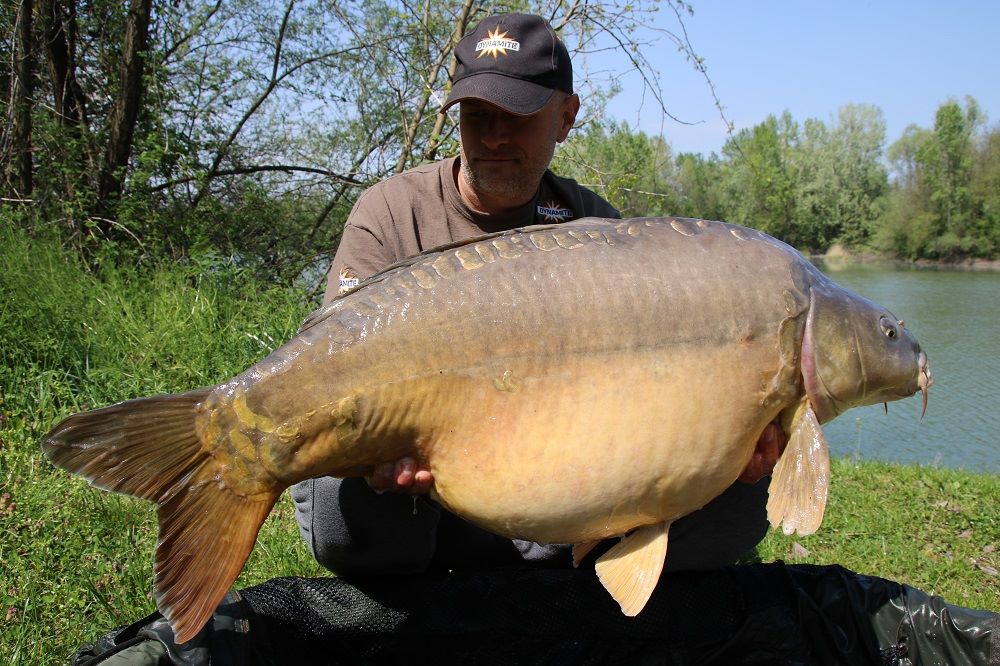 Massive carp named Carrot strikes again at French lake