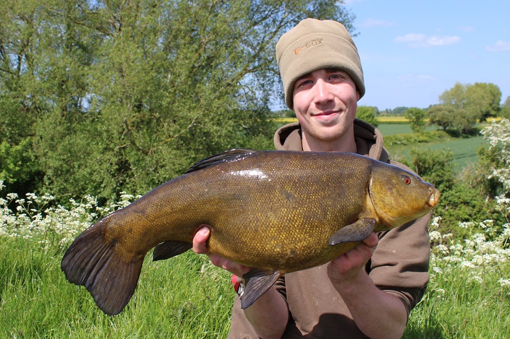 Small Tench Caught on Fishing-rod. Fishing Stock Image - Image of