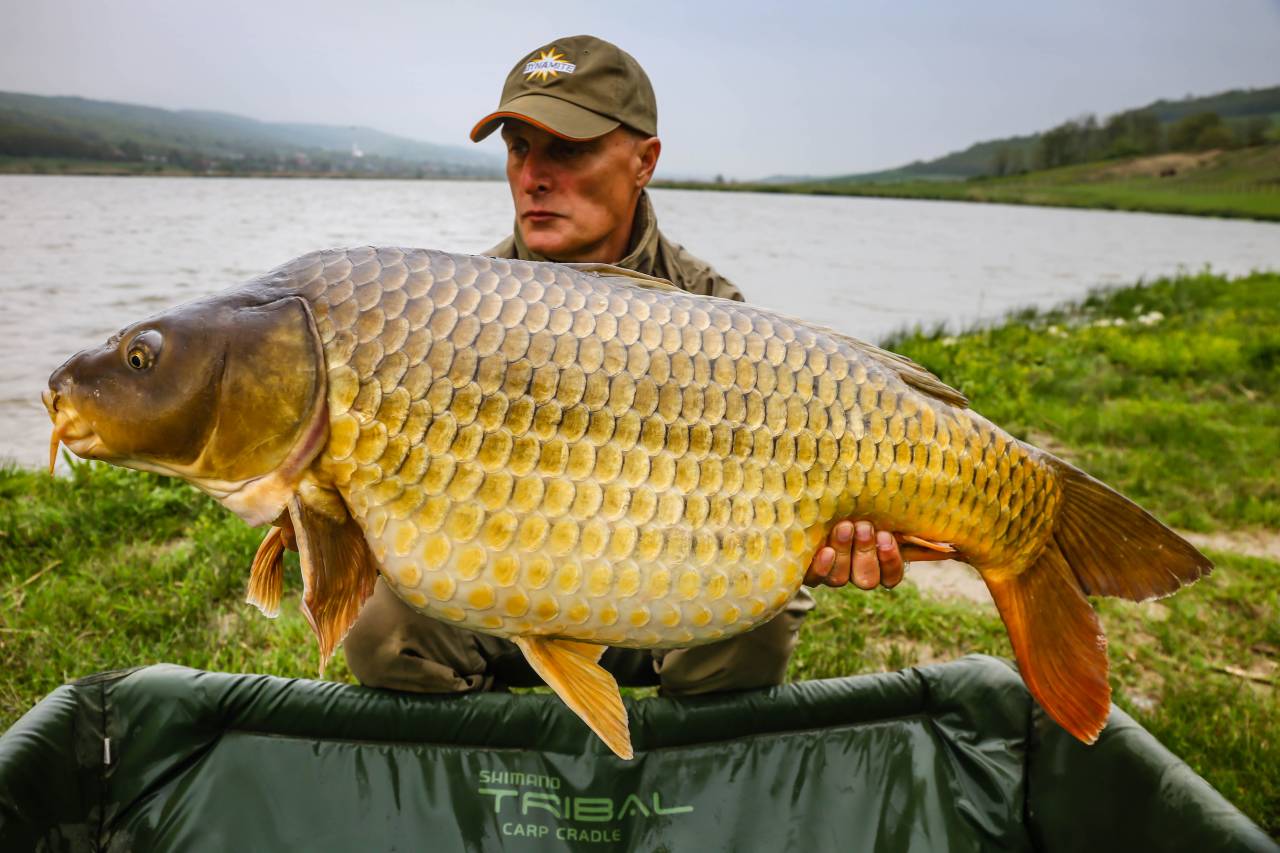 Vlad Pavlovici - 21.7kg Lake Horgesti