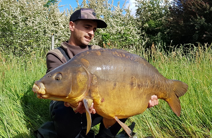 angel rodriguez french carp on pineapple and banana pop-up