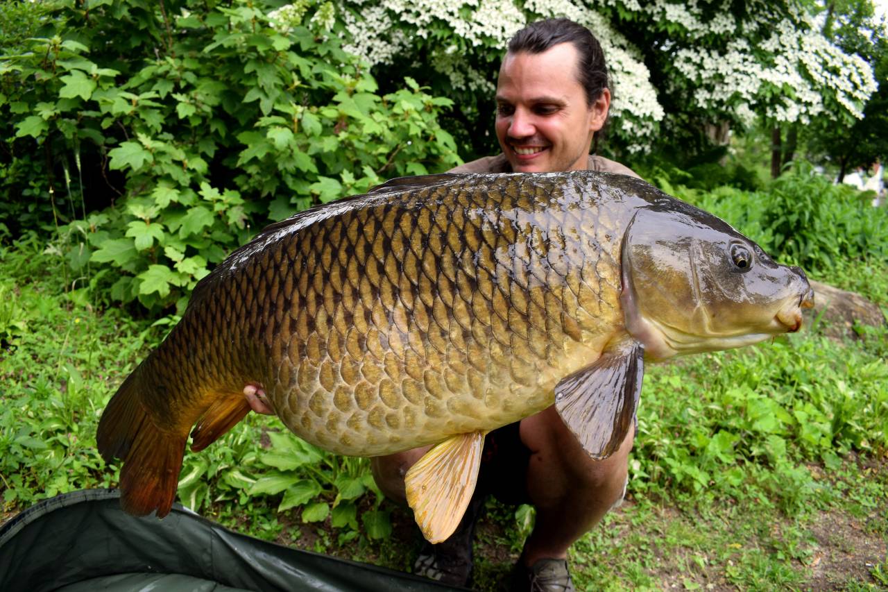 Emir Caro (Germany) - Dynamite Baits Netherlands