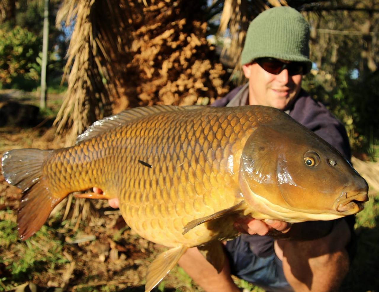 peter john den dulk south africa common