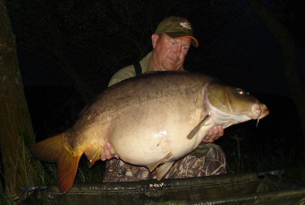 two tone pop-up croatia carp