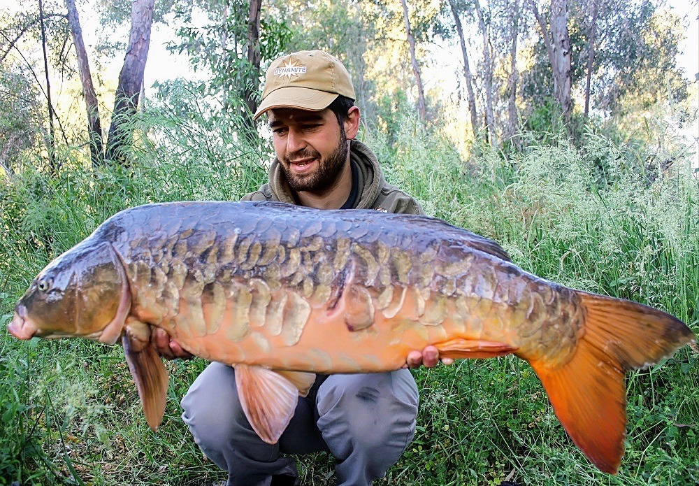 River Carp Fishing With Homemade Boilies 