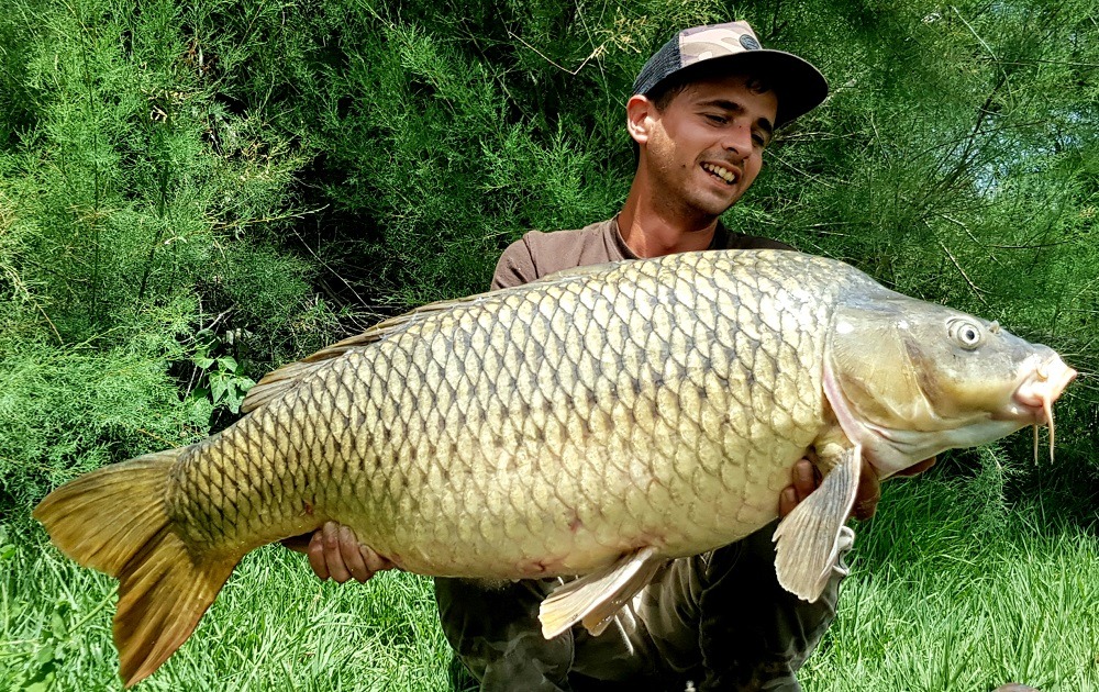 River Carp Fishing With Homemade Boilies 