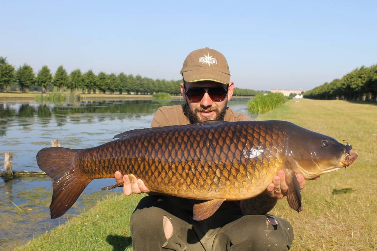 Surface fishing to catch carp