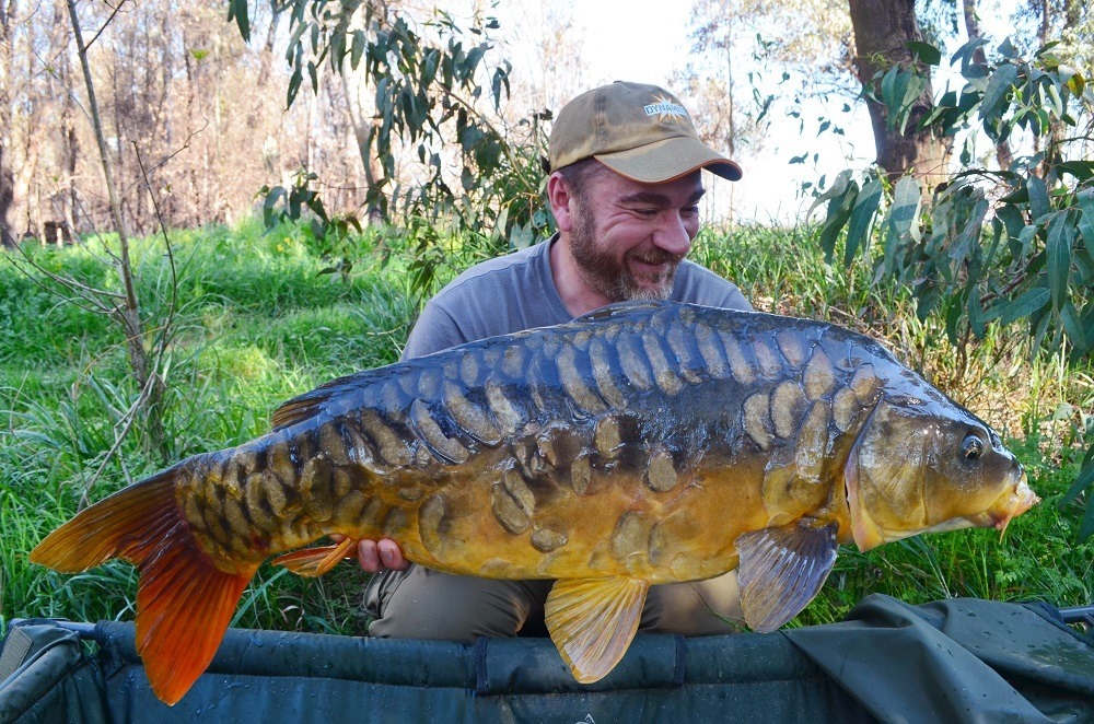 CompleX-T carp boilies – one year on.. - Dynamite Baits