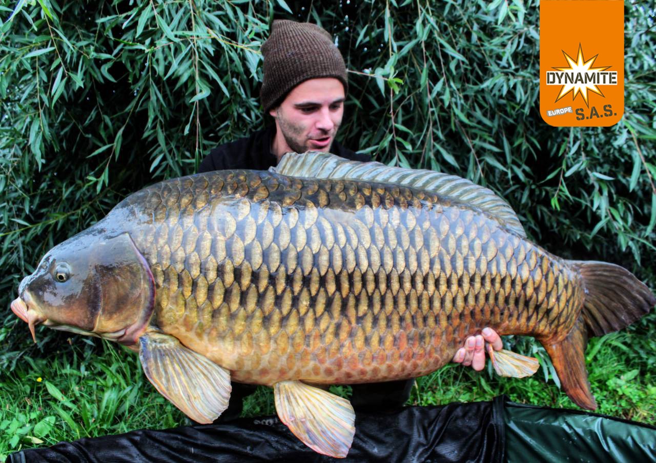 Maximilian Lauble - Germany - 31,2kg - Pineapple & Banana 