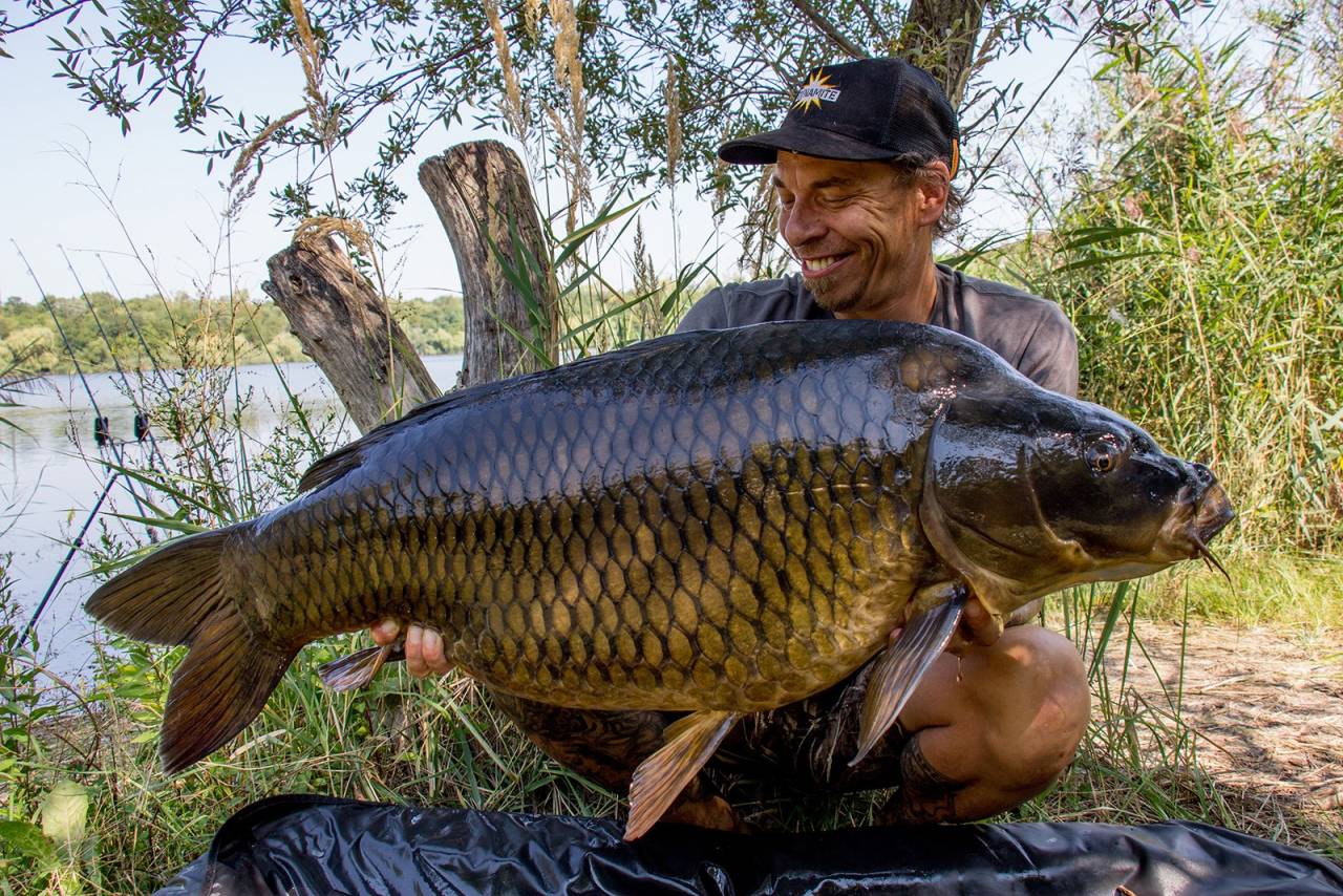 alex hager source skeleton water common