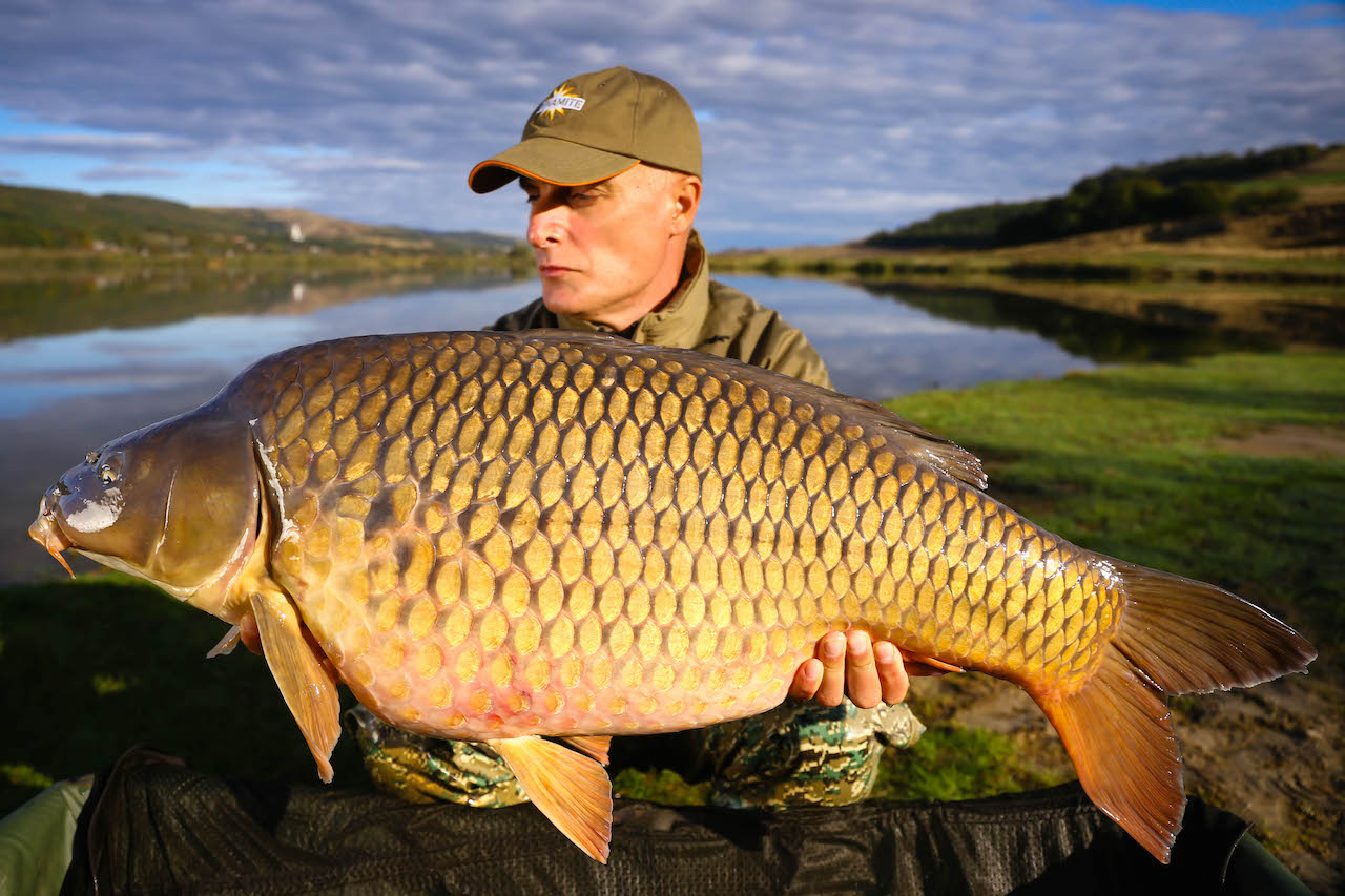 vlad pavlovici carp romania