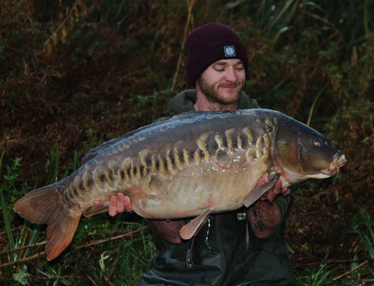 44lb mirror complex-t boilies