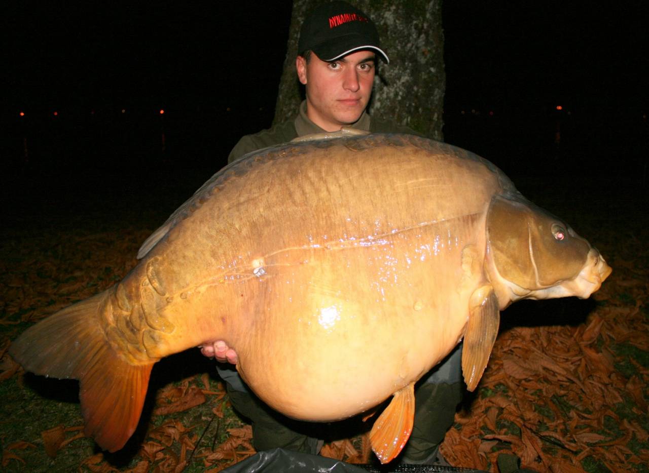 2009 carp