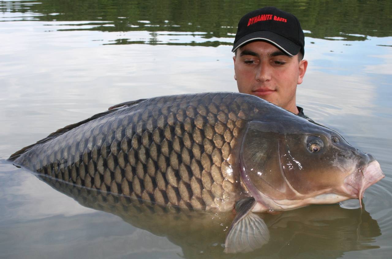 Kristof Cuderman – A Decade of Catches PART 1 - Dynamite Baits