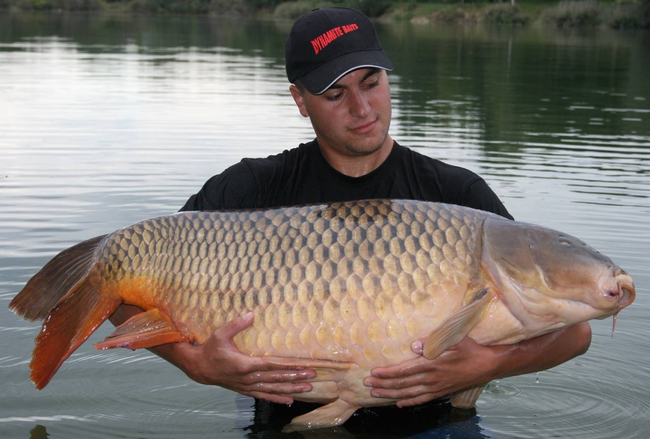 2012 carp erna