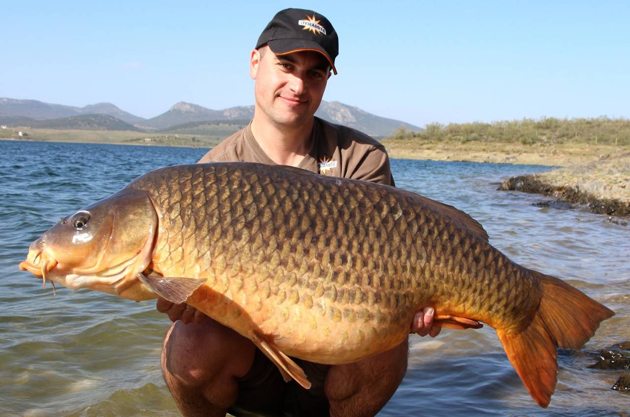 2019 orellana carp kristof