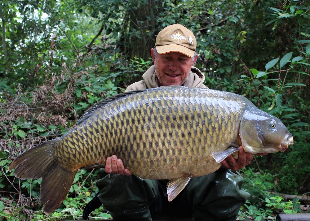 51lb Aqvatika carp