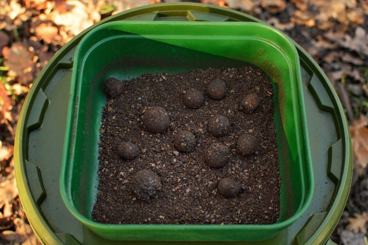 BOILIES IN GROUNDBAIT