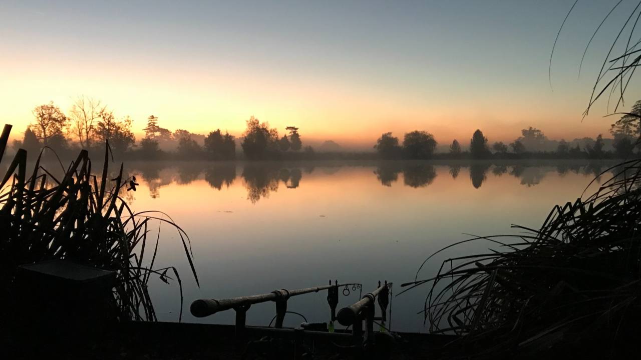 the avenue fishery at sunset