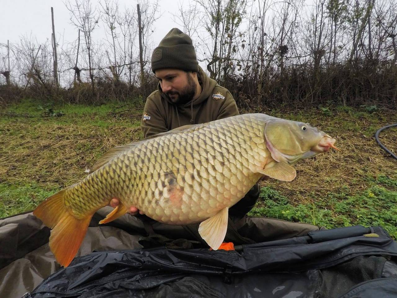 thomas santandrea italian carp the source 2020