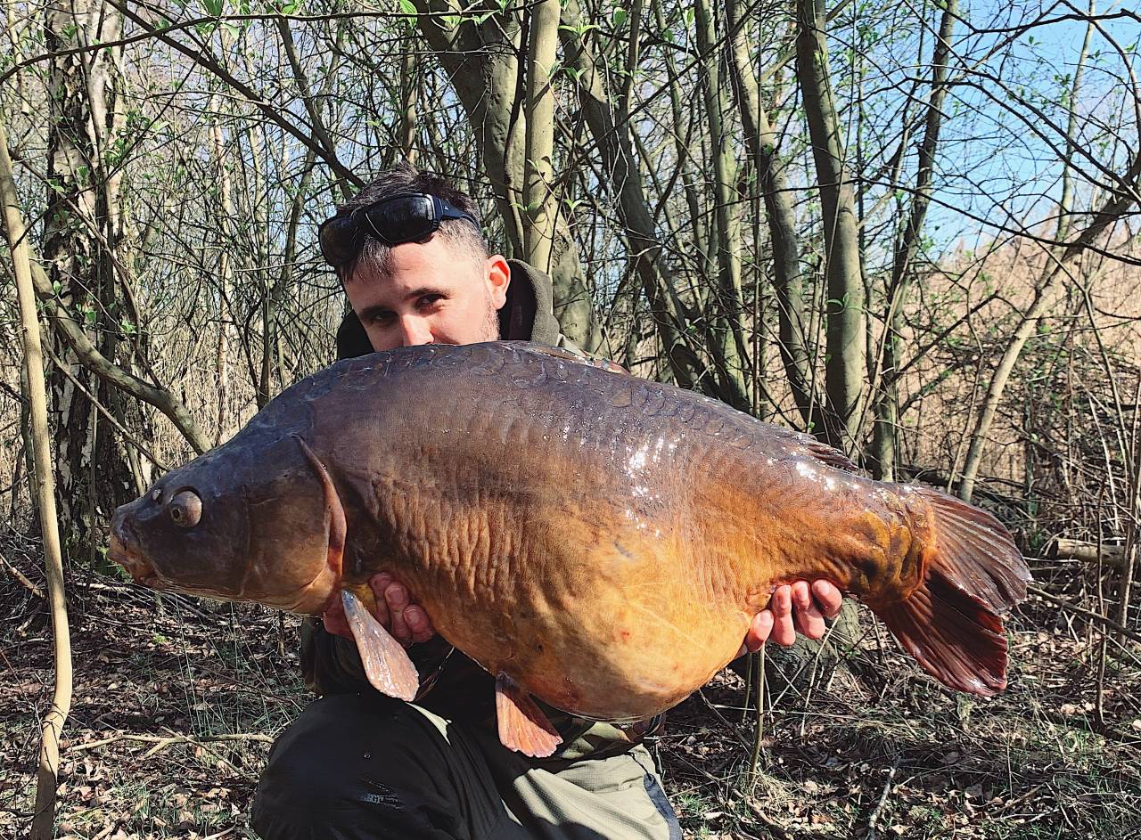 38lb white chocolate pop-up