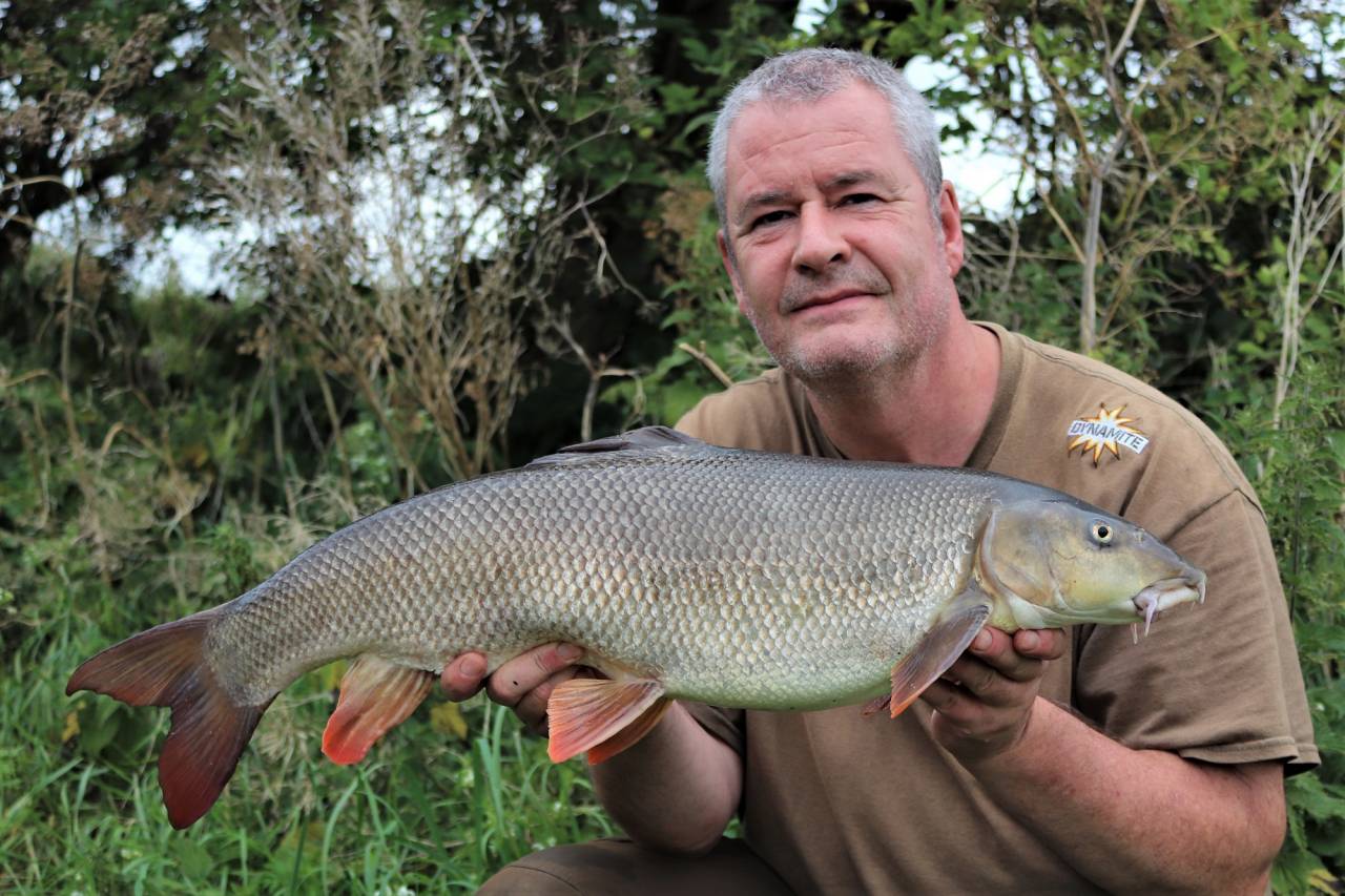 barbel fishing