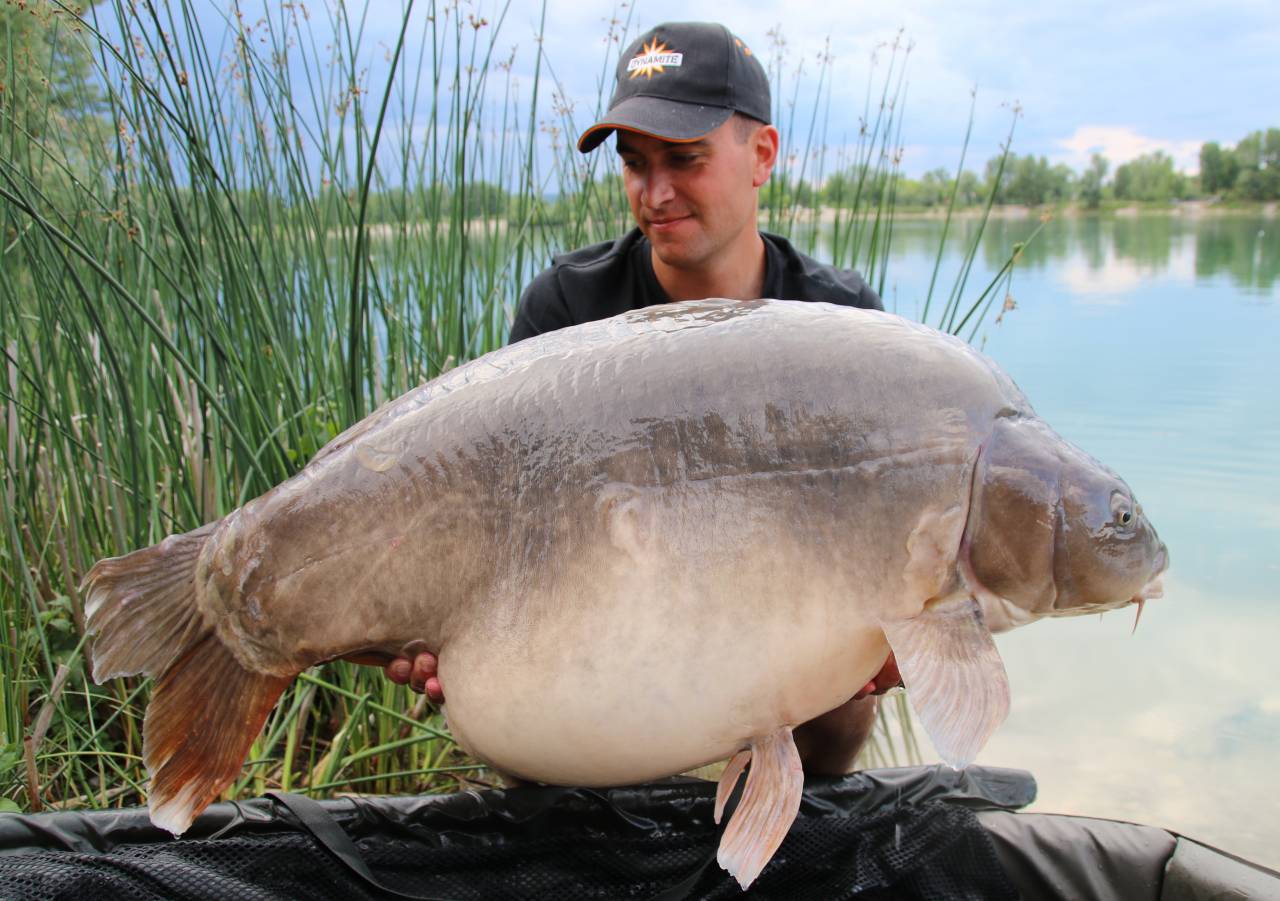 Long distance fishing for big carp – Kristof Cuderman - Dynamite Baits