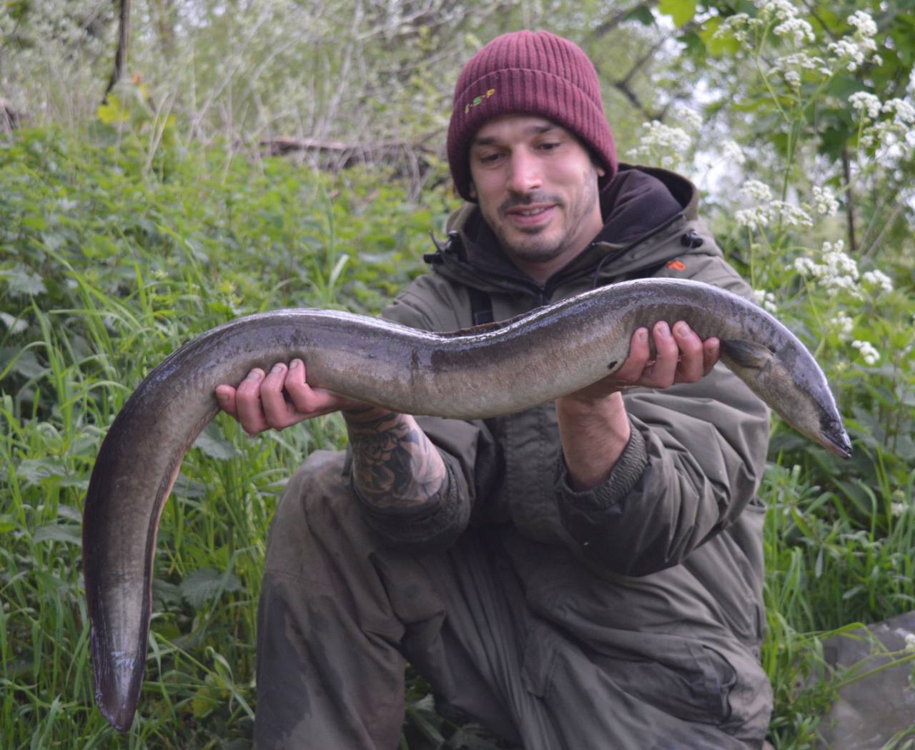 Must-See Video: Massive Sturgeon Caught on a…