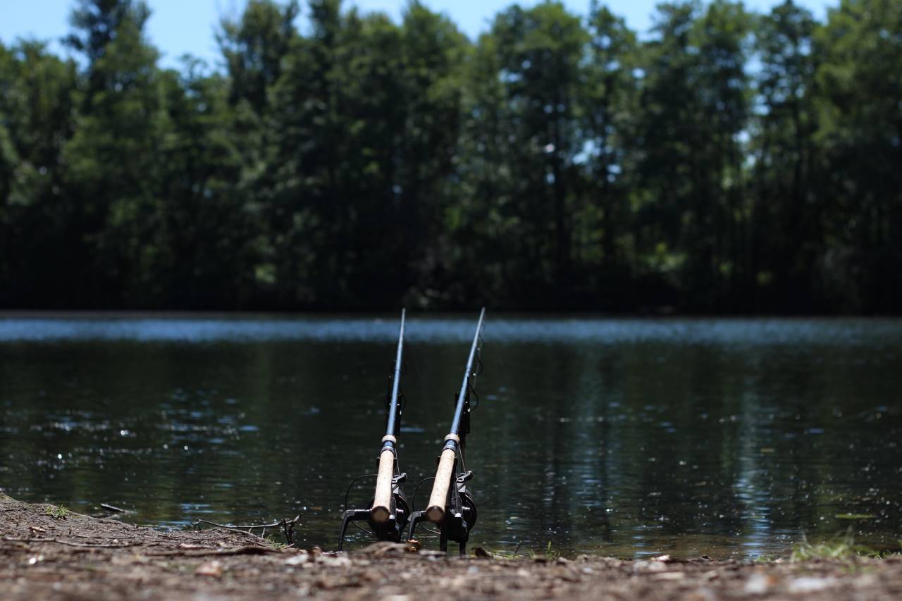 carp fishing on yateley