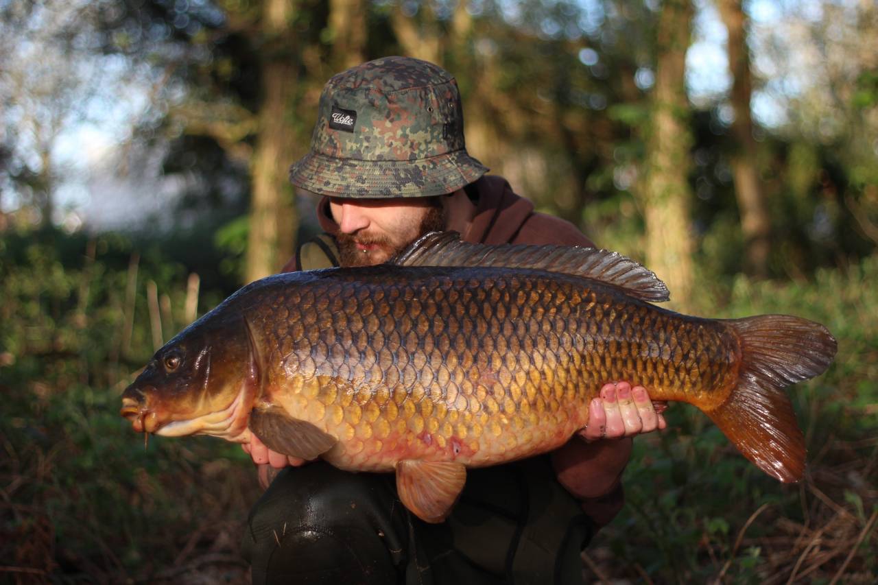 yateley carp dave williams 1