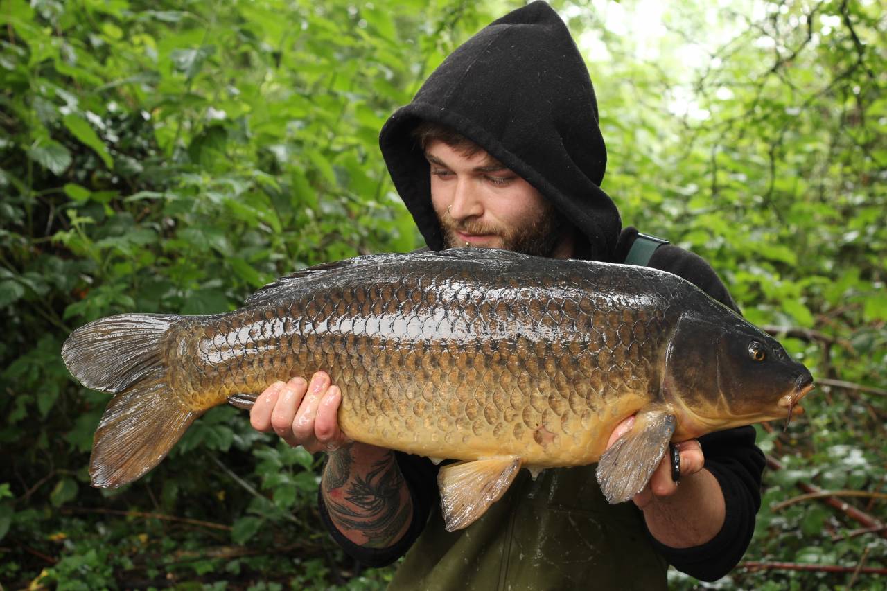 yateley carp dave williams 10