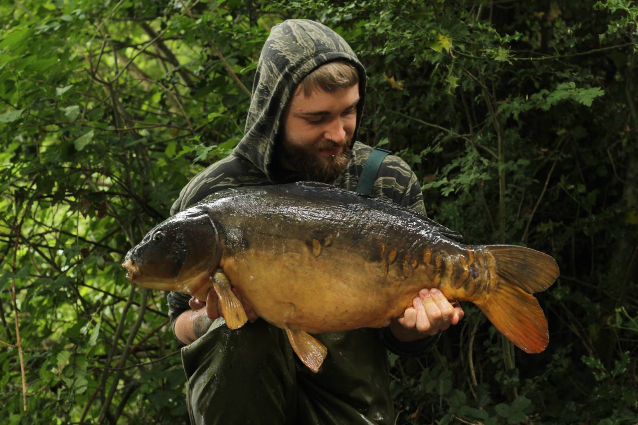 yateley carp dave williams 12