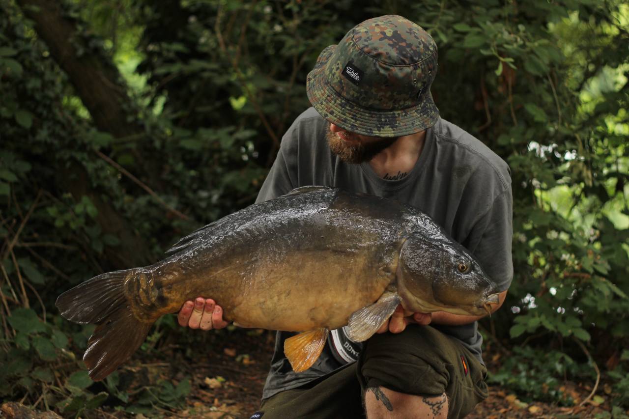 yateley carp dave williams 15