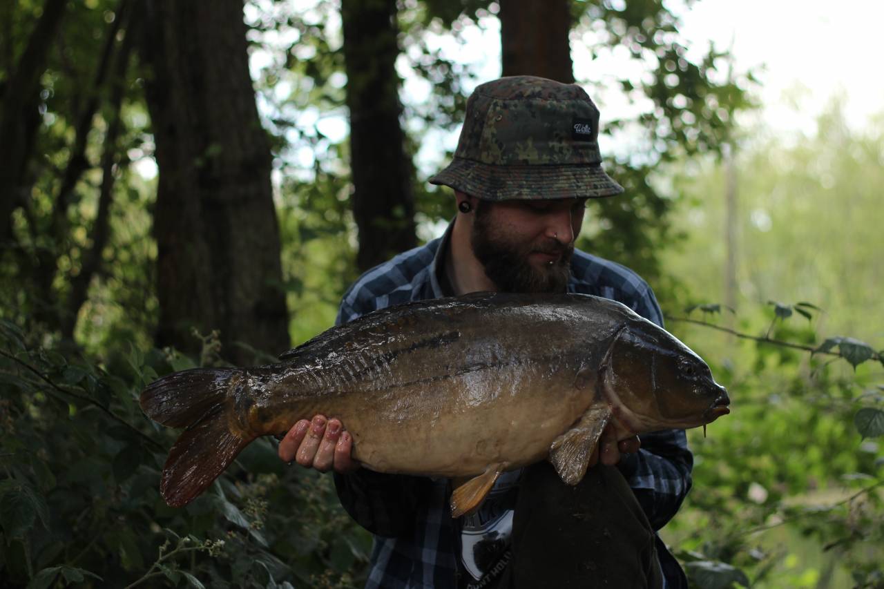 yateley carp dave williams 16