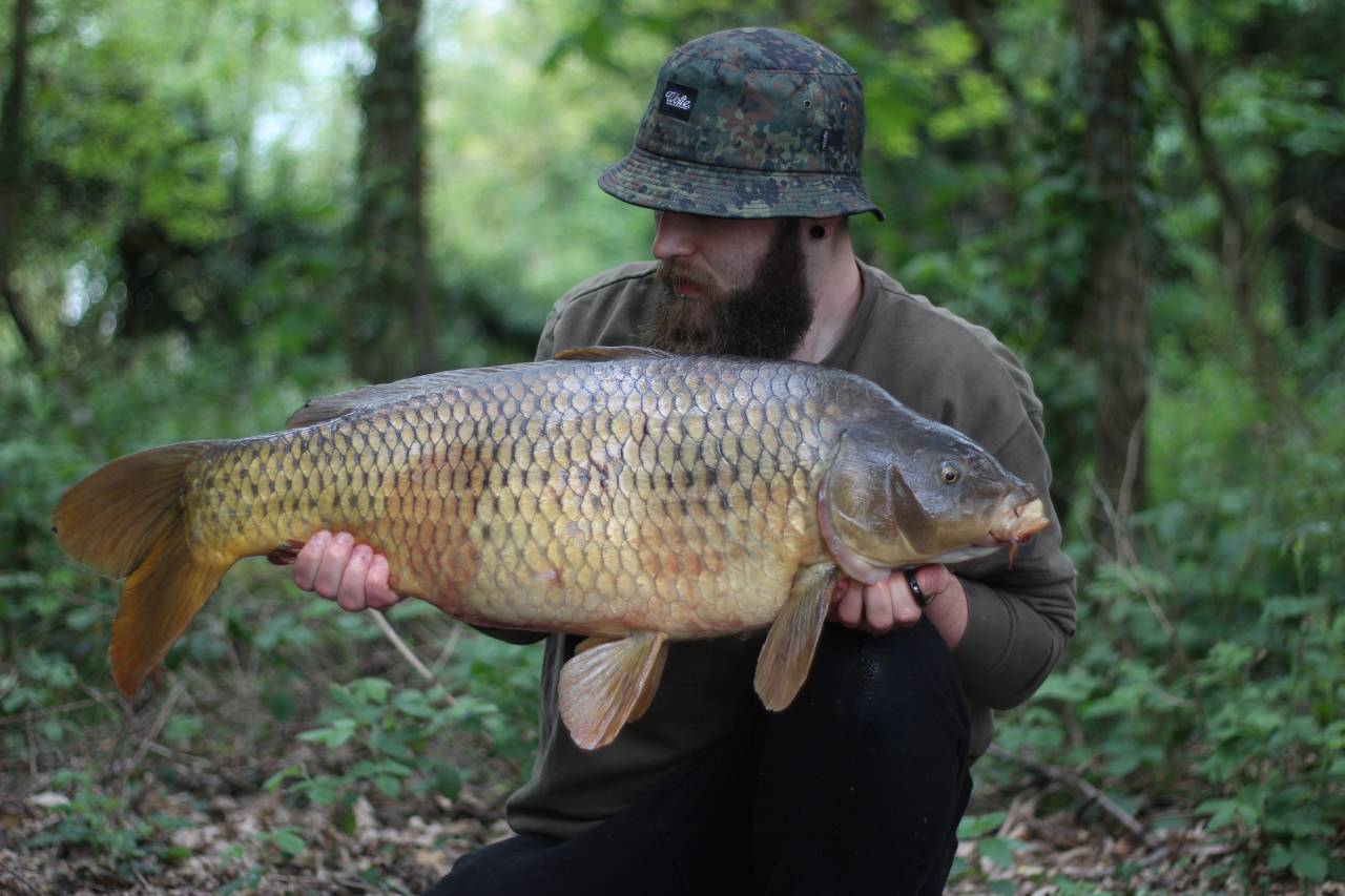 yateley carp dave williams 2