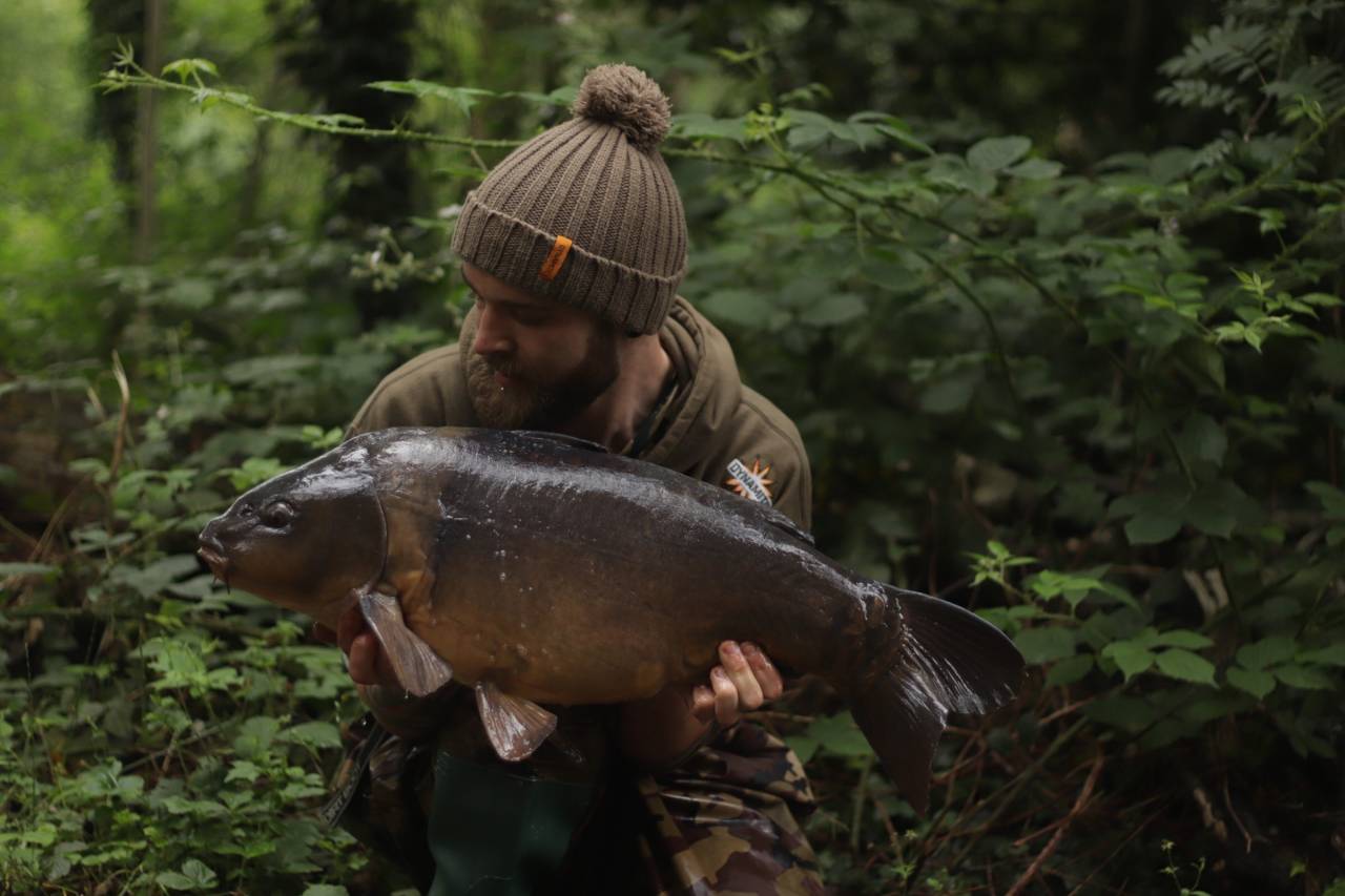 yateley carp dave williams 20