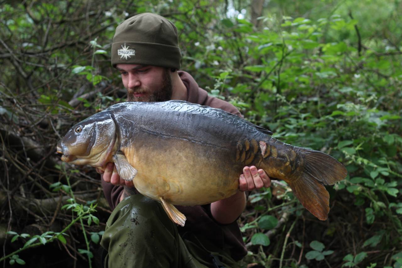 yateley carp dave williams 3