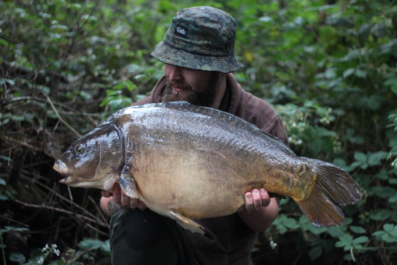 yateley carp dave williams 5