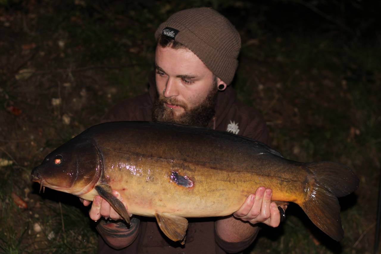 yateley carp dave williams 6