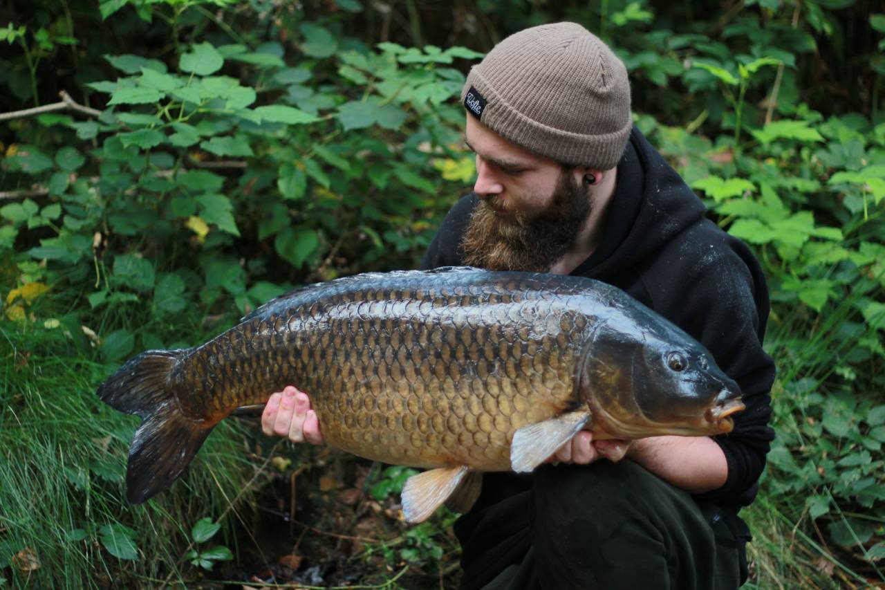 yateley carp dave williams 8