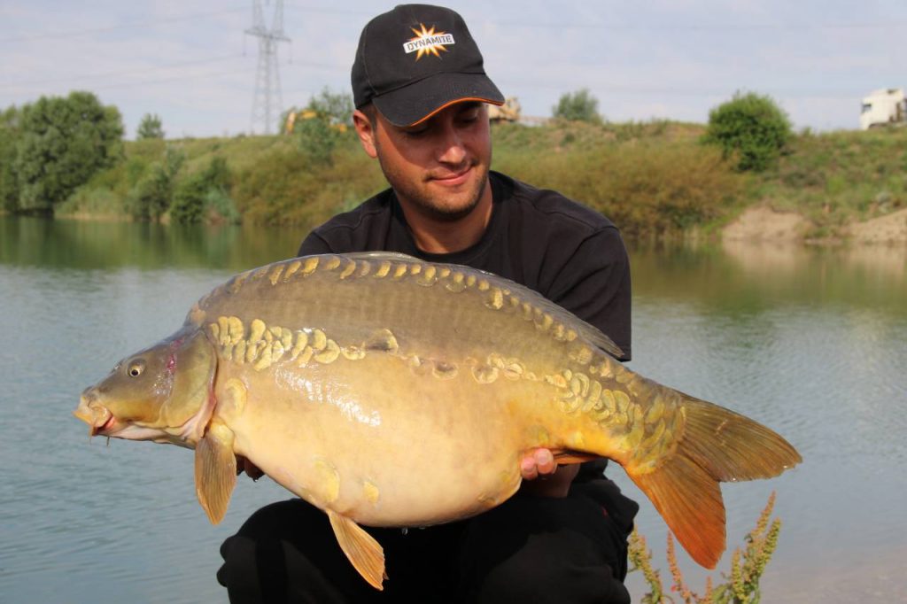 Cats and Carp for Kristof in Romania - Dynamite Baits